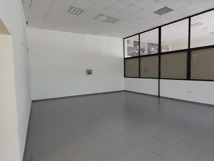 20250814_110923 - copia